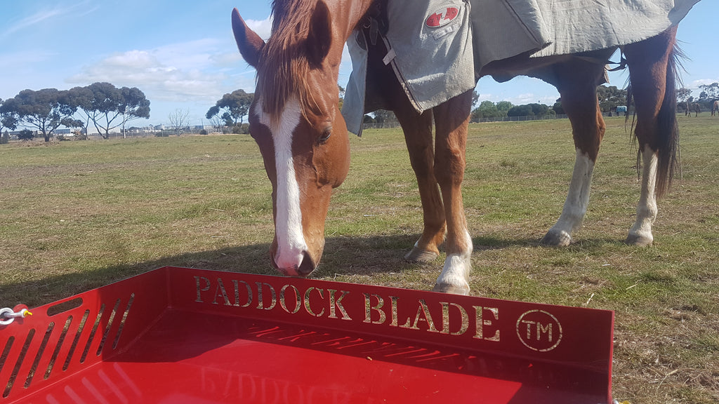 How Does a Paddock Cleaner Work? – Paddock Blade Australia