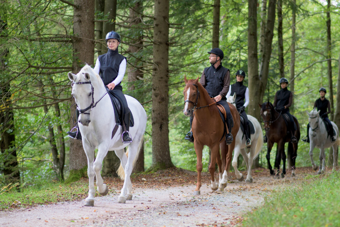 Best Autumn Equestrian Trails to Explore in Victoria