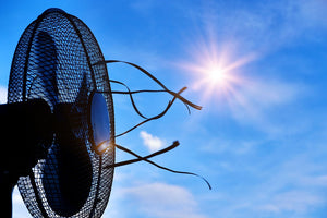 How to Keep Cool at The Barn This Summer
