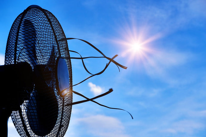 How To Keep Cool At The Barn This Summer