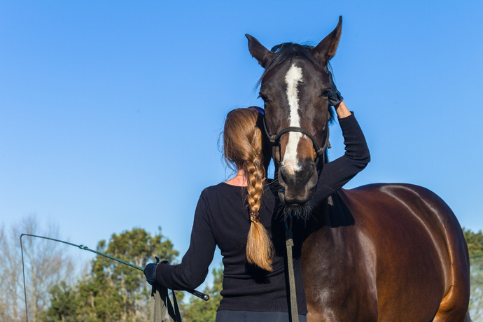 7 Fun Winter Exercises for Your Horse (When You Don’t Feel Like Riding)