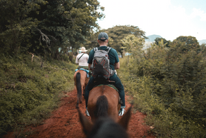 The Top 10 Horse Riding Trails You Must See in Australia