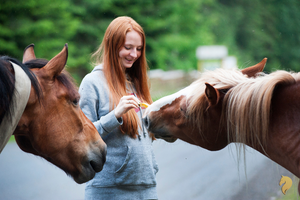 Basic Horse Care: Essentials Every New Owner Should Know