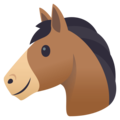 30 feel good horse riding quotes