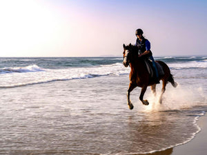 The best beaches in Australia to ride your horse